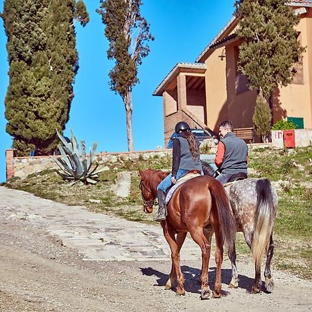 Campiglia dʼOrcia Az.Agr. Il Cavalleggero מראה חיצוני תמונה