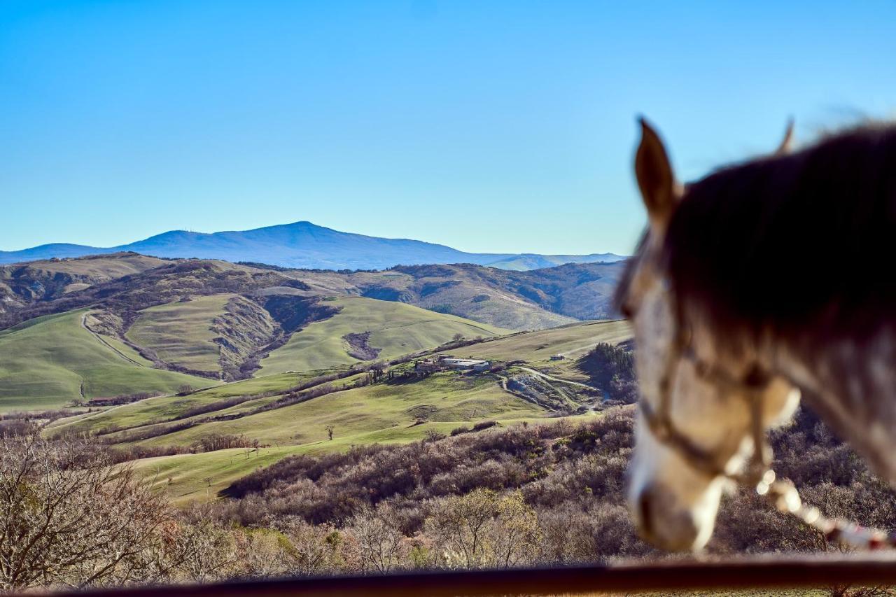 Campiglia dʼOrcia Az.Agr. Il Cavalleggero מראה חיצוני תמונה