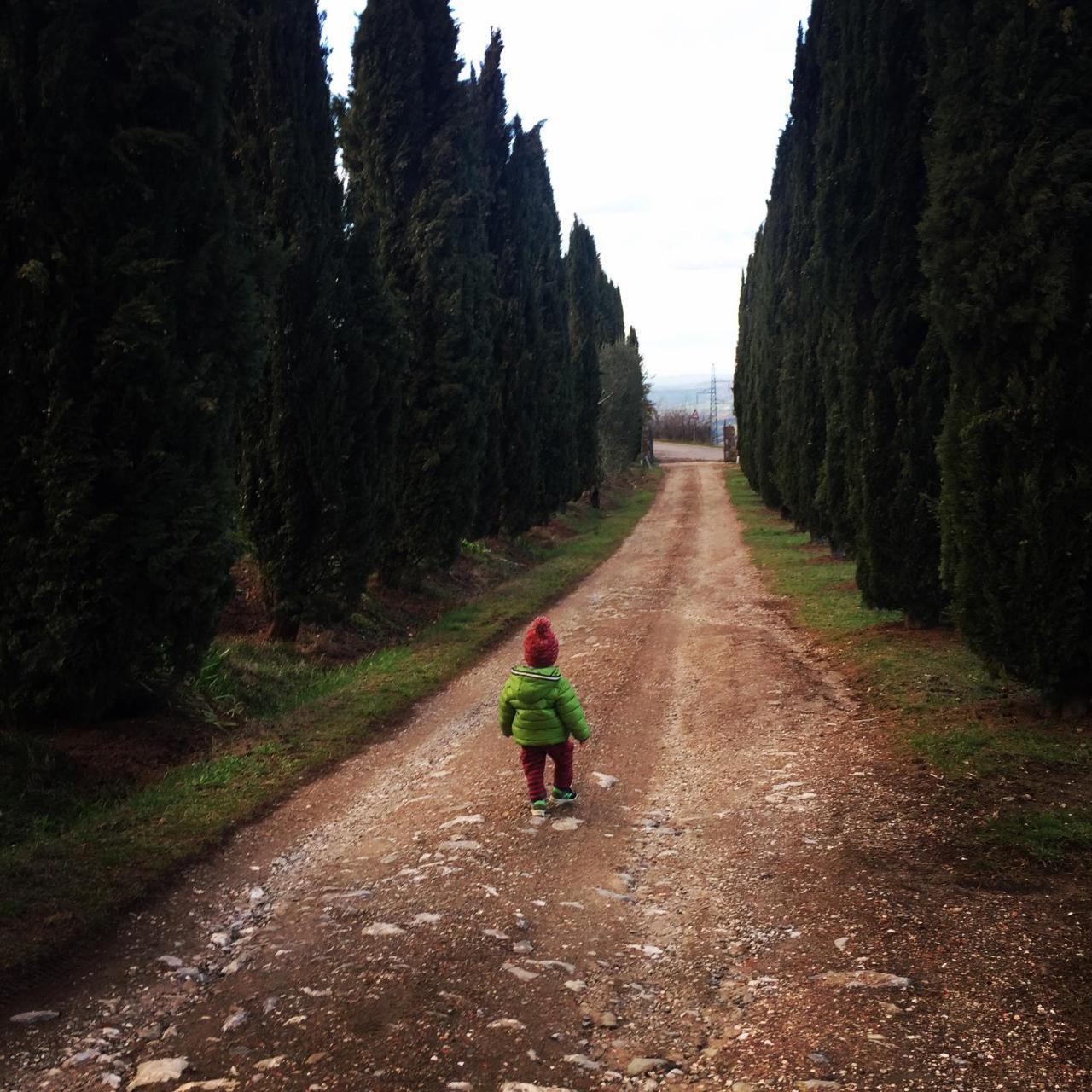 Campiglia dʼOrcia Az.Agr. Il Cavalleggero מראה חיצוני תמונה