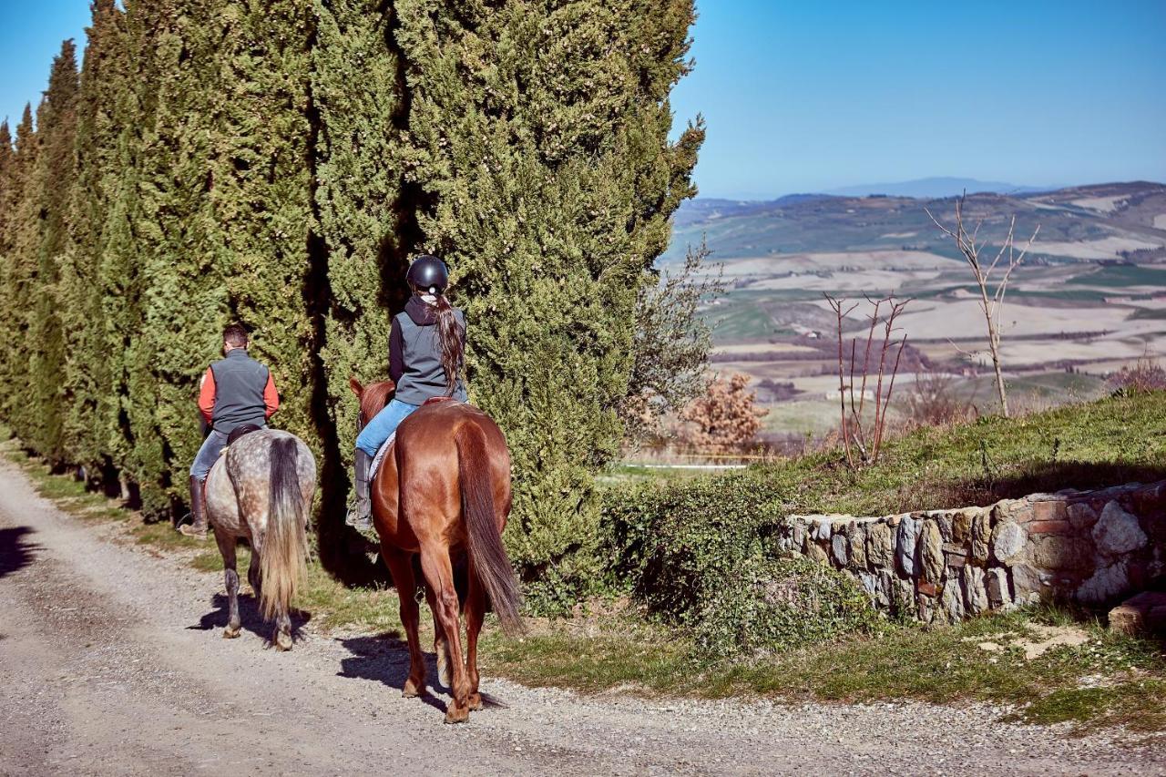 Campiglia dʼOrcia Az.Agr. Il Cavalleggero מראה חיצוני תמונה