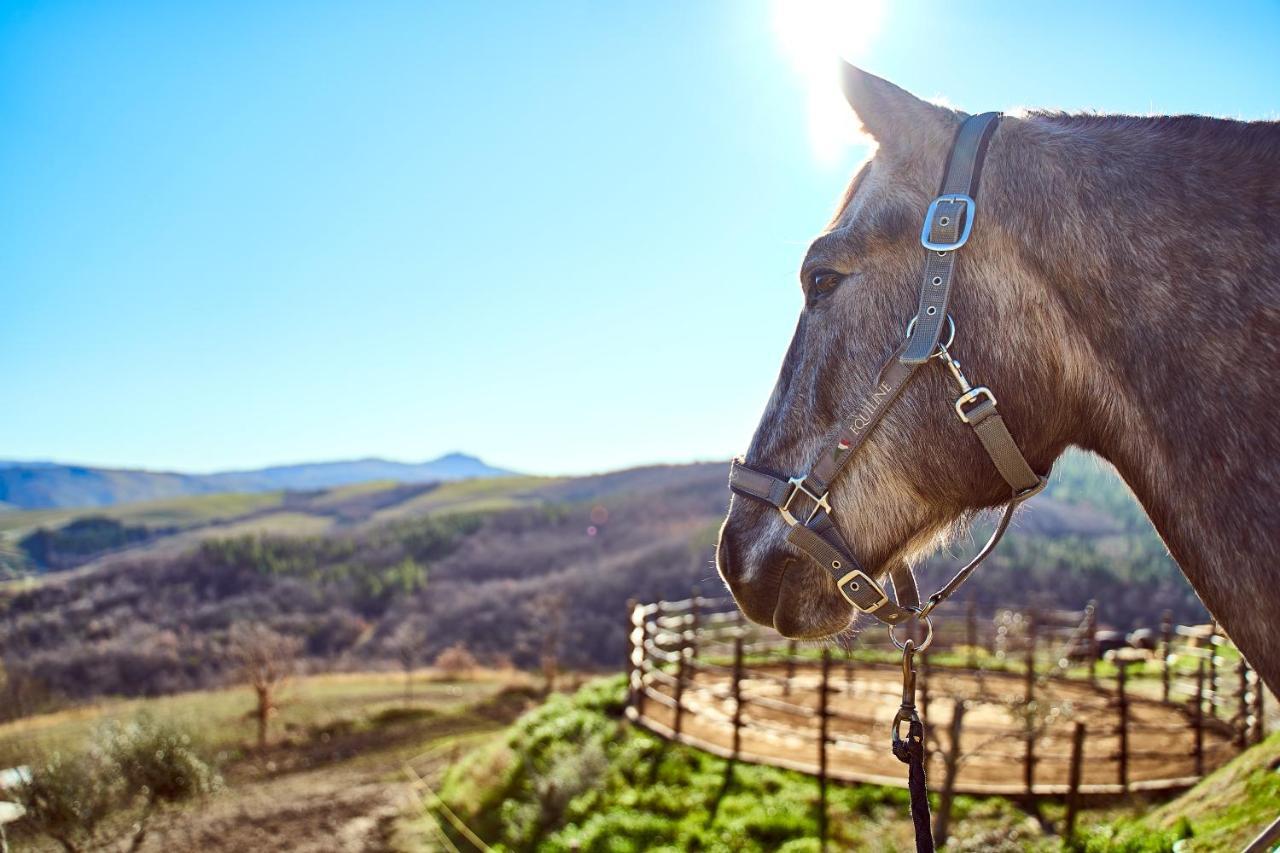 Campiglia dʼOrcia Az.Agr. Il Cavalleggero מראה חיצוני תמונה